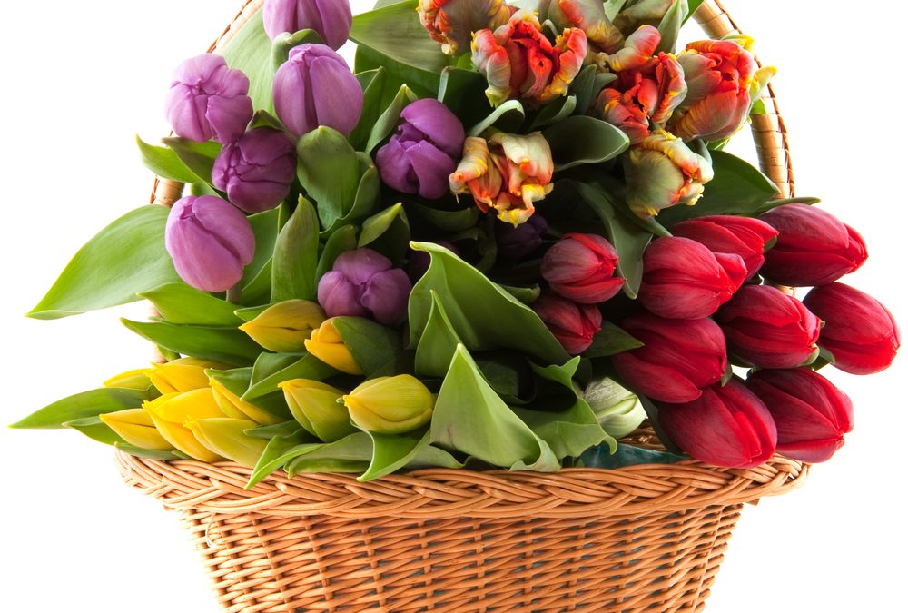 How to Choose Flower Bouquets Estero FL Locals Love for Every Special Occasion
