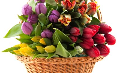 How to Choose Flower Bouquets Estero FL Locals Love for Every Special Occasion